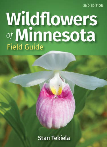 Wildflowers of Minnesota